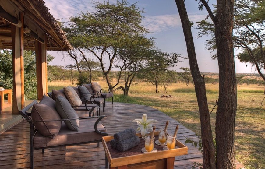 Forever Africa — The Honeymoon Safari