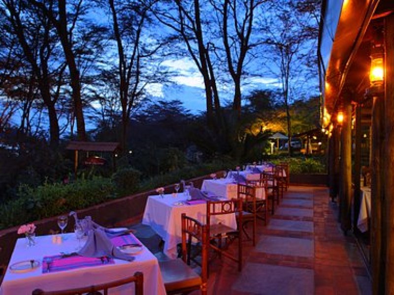 Experience the Untamed Beauty of Africa – Your Safari Adventure Awaits