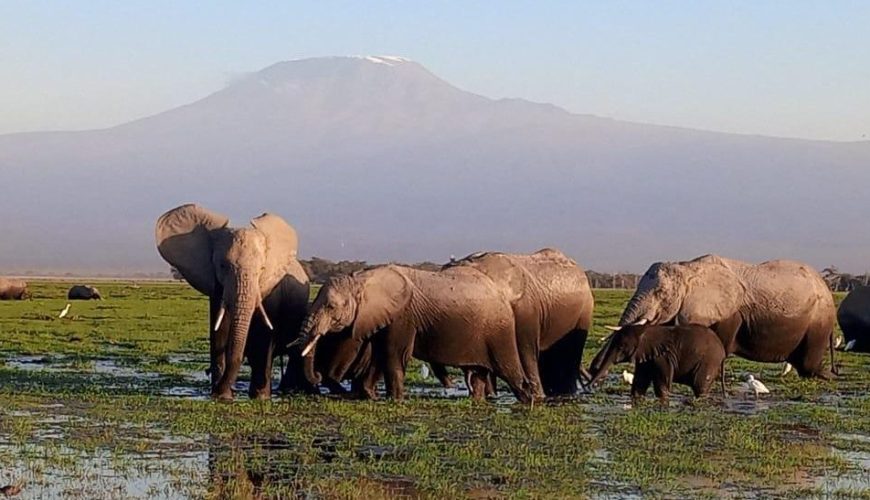 Kenya tourism attractions by lilac roller safaris