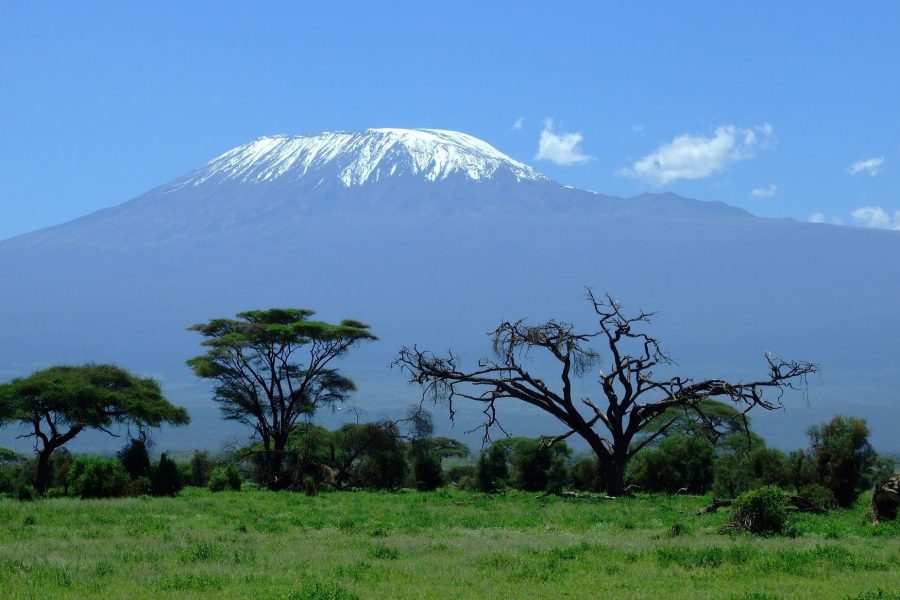3 Day Amboseli Safari