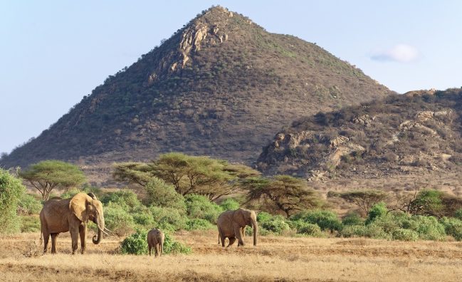 3 Day Samburu Safari