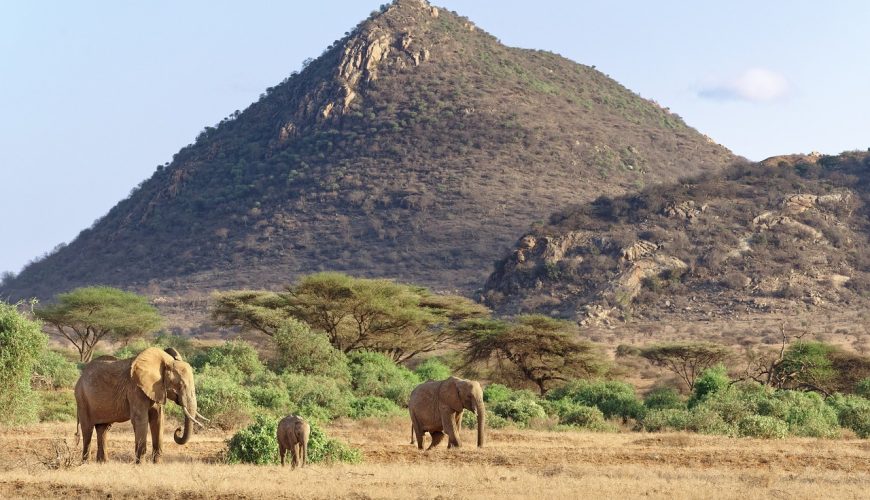 The 'Pyramid' hill Lolpopong in Samburu National Park