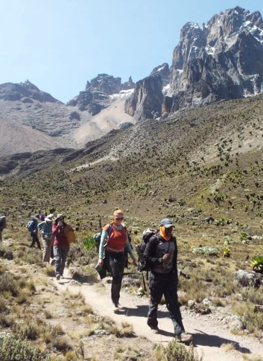 Experience the Untamed Beauty of Africa – Your Safari Adventure Awaits