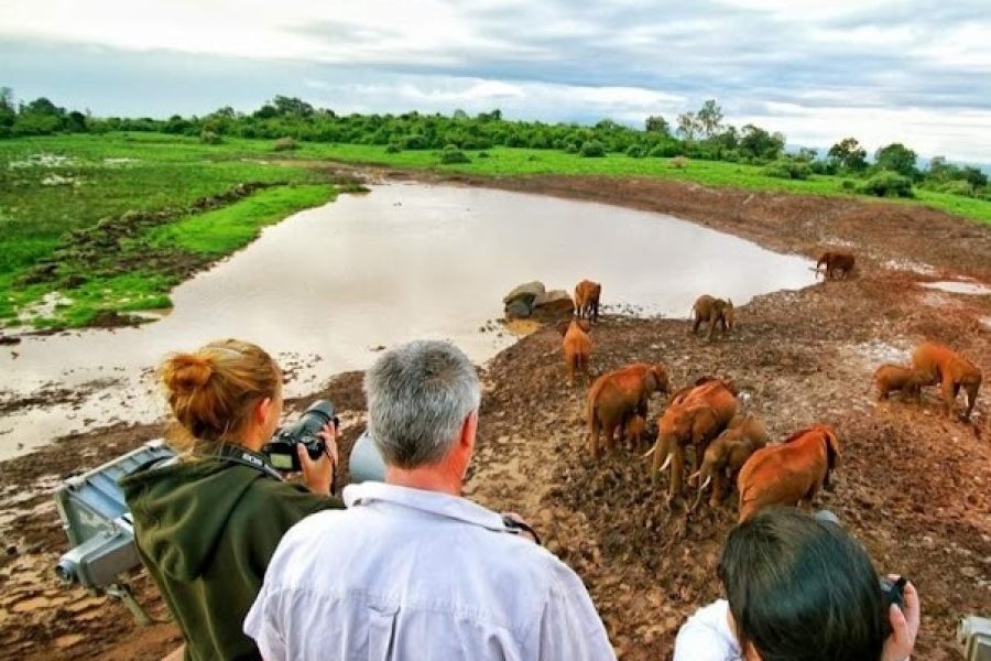 Kenya Classic Safari