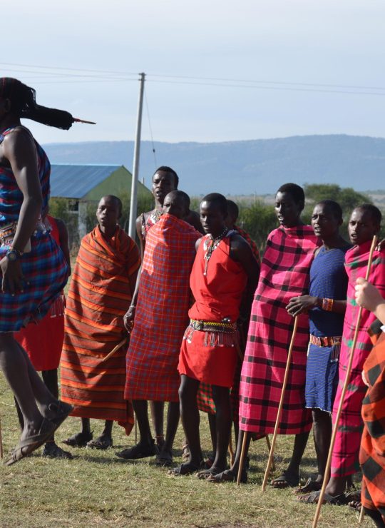 Experience the Untamed Beauty of Africa – Your Safari Adventure Awaits