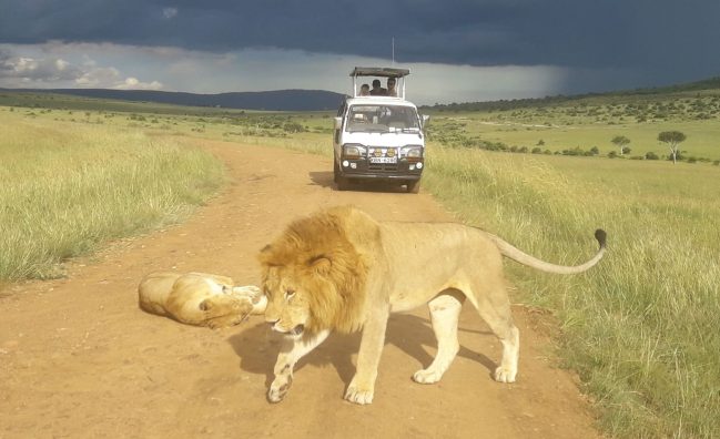 3 Day Luxury Maasai Mara Safari