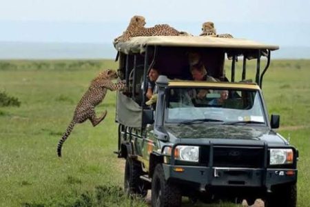 3 Day Maasai Mara Group Joining Safari