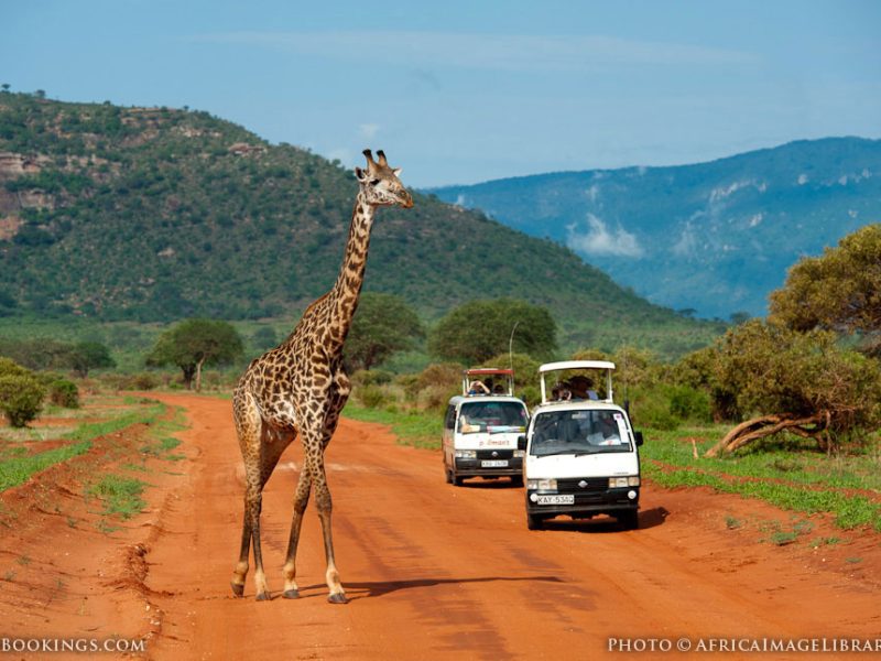 Great Tours and Safaris  In East Africa