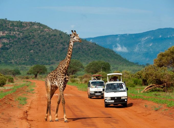 Experience the Untamed Beauty of Africa – Your Safari Adventure Awaits