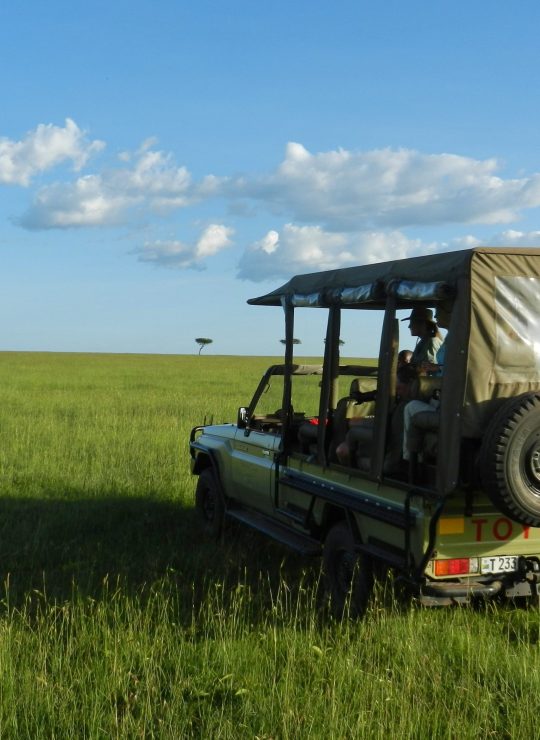Experience the Untamed Beauty of Africa – Your Safari Adventure Awaits