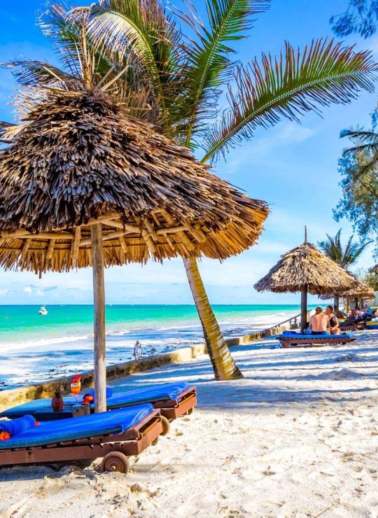 Experience the Untamed Beauty of Africa – Your Safari Adventure Awaits