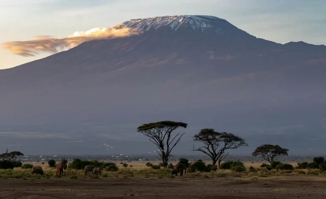 6 Day Kilimanjaro Marangu Route