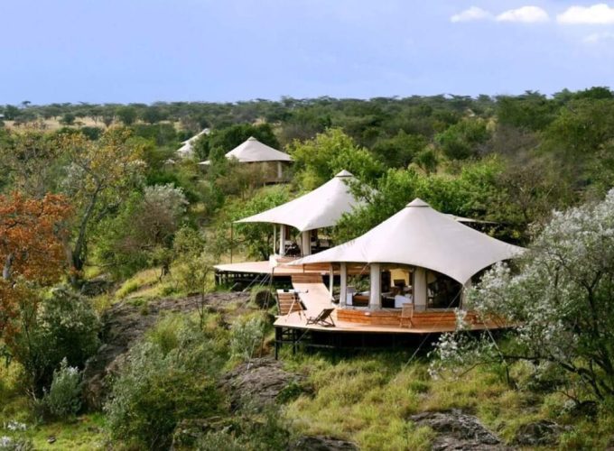 Experience the Untamed Beauty of Africa – Your Safari Adventure Awaits