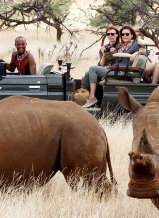 Experience the Untamed Beauty of Africa – Your Safari Adventure Awaits