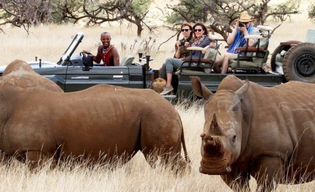Lewa Conservancy Fly-In Safari