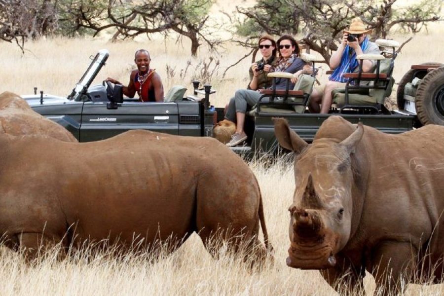 Lewa Conservancy Fly-In Safari