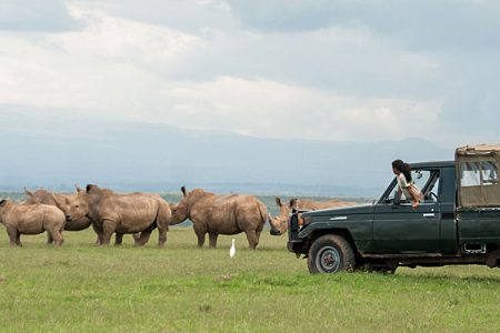 Lake Nakuru and Samburu Safari
