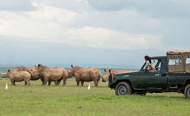 Lake Nakuru and Samburu Safari