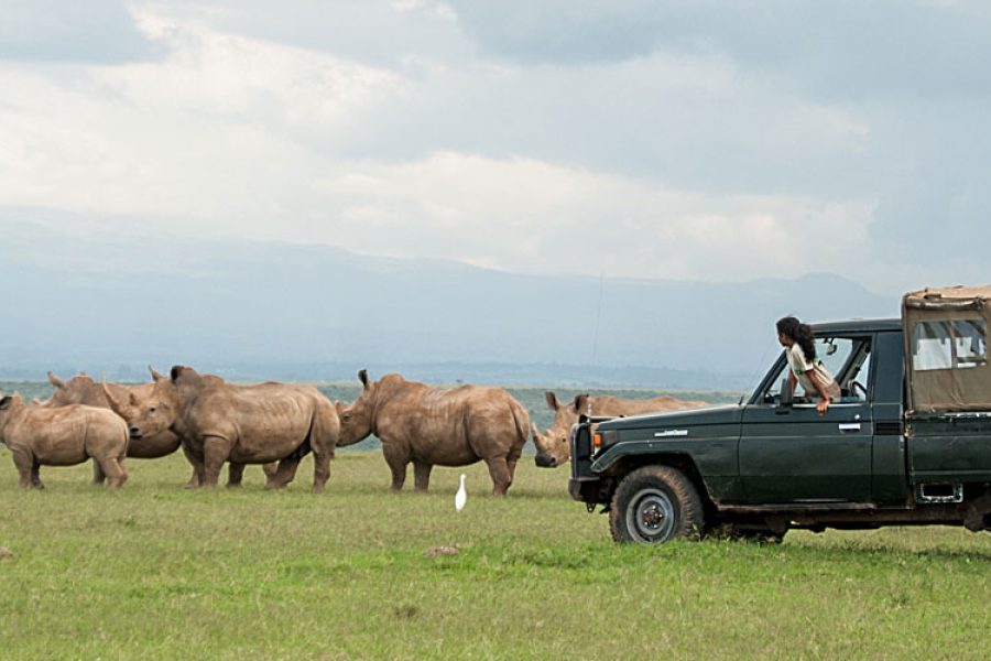 Lake Nakuru and Samburu Safari