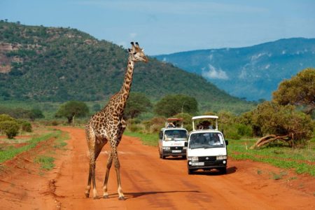 3 Day Tsavo Safari