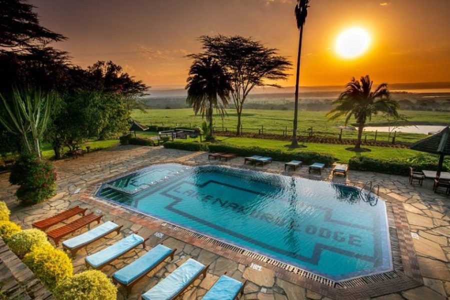 5 Day Kenya Birding Safari
